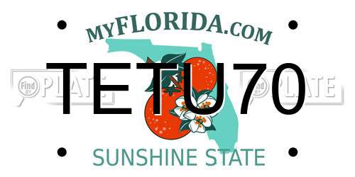 TETU70 Florida License Plate