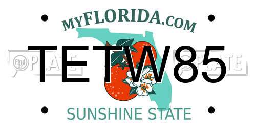 TETW85 Florida License Plate
