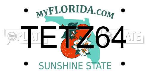TETZ64 Florida License Plate