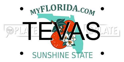 TEVAS Florida License Plate