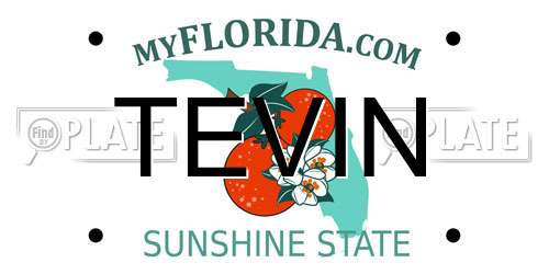 TEVIN Florida License Plate