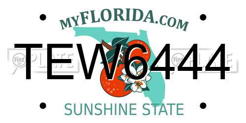 TEW6444 Florida License Plate