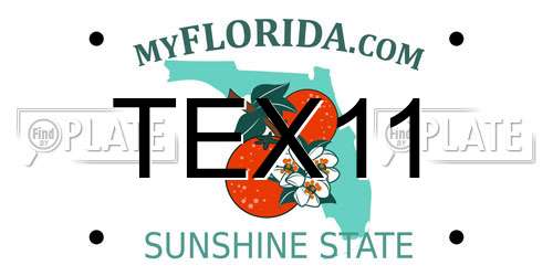 TEX11 Florida License Plate