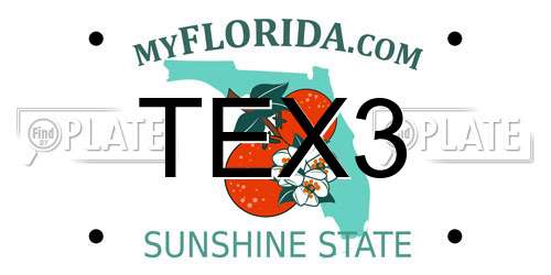 TEX3 Florida License Plate