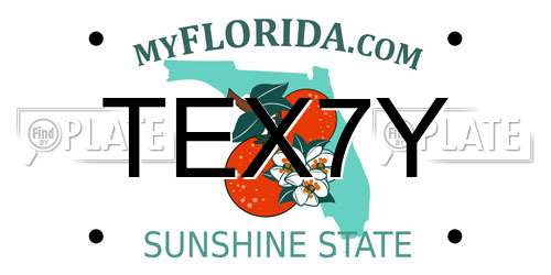 TEX7Y Florida License Plate