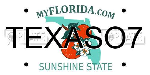TEXASO7 Florida License Plate