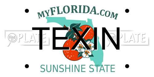 TEXIN Florida License Plate