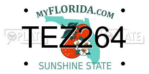 TEZ264 Florida License Plate