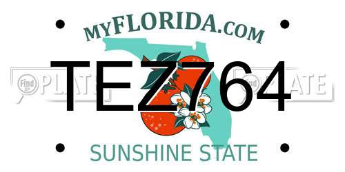 TEZ764 Florida License Plate