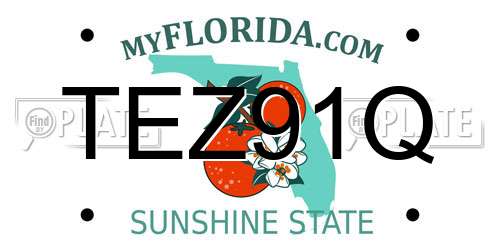 TEZ91Q Florida License Plate