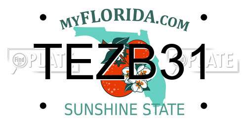 TEZB31 Florida License Plate