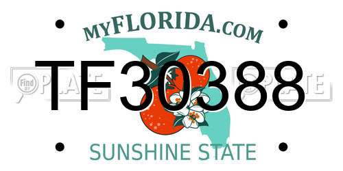 TF30388 Florida License Plate