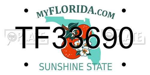 TF33690 Florida License Plate