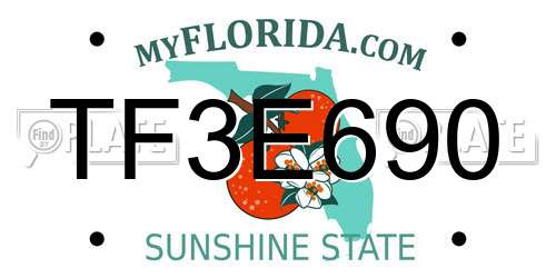 TF3E690 Florida License Plate