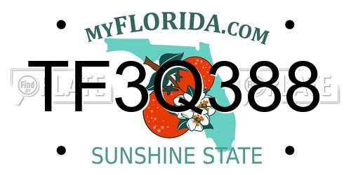TF3Q388 Florida License Plate