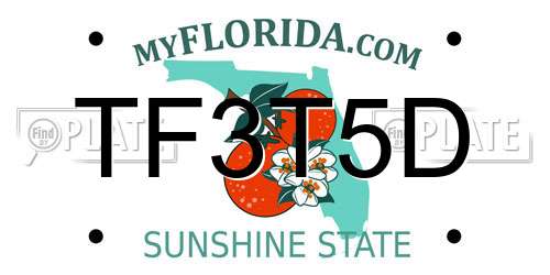 TF3T5D Florida License Plate