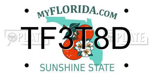 TF3T8D Florida License Plate