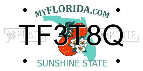 TF3T8Q Florida License Plate