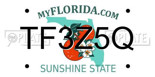 TF3Z5Q Florida License Plate