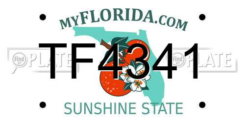 TF4341 Florida License Plate