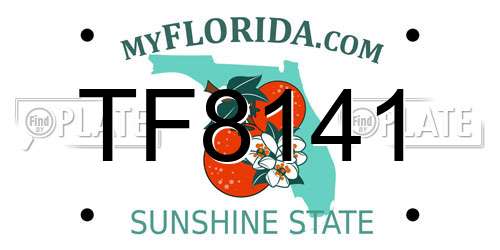TF8141 Florida License Plate