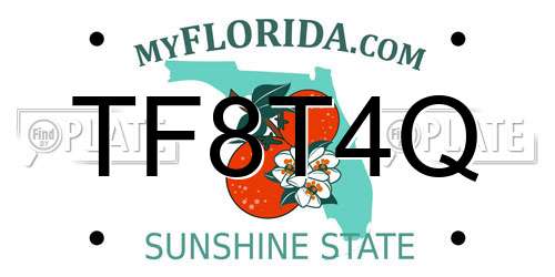 TF8T4Q Florida License Plate