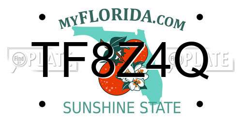 TF8Z4Q Florida License Plate
