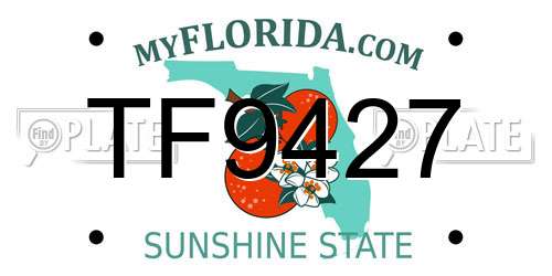 TF9427 Florida License Plate