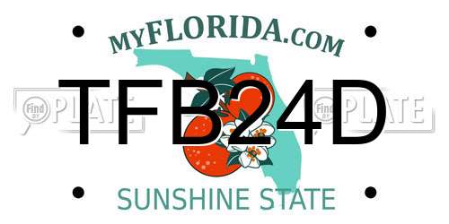 TFB24D Florida License Plate