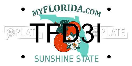 TFD3I Florida License Plate