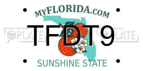 TFDT9 Florida License Plate