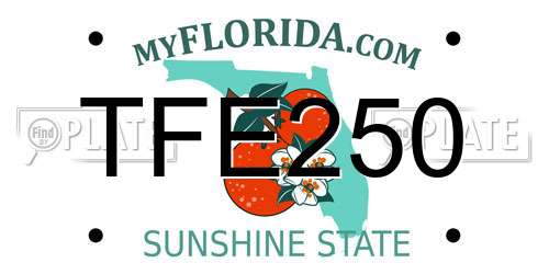 TFE250 Florida License Plate