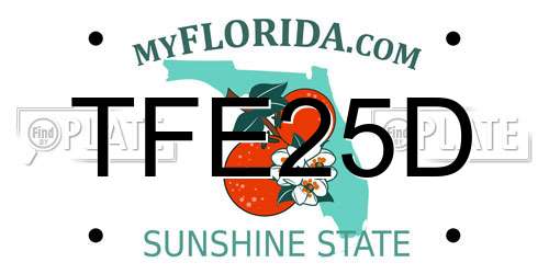 TFE25D Florida License Plate