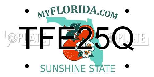 TFE25Q Florida License Plate