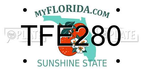 TFE280 Florida License Plate
