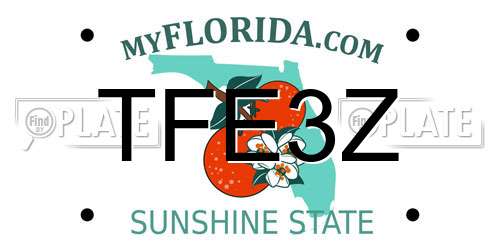 TFE3Z Florida License Plate