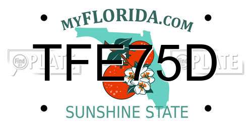 TFE75D Florida License Plate