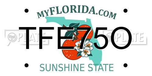 TFE75O Florida License Plate