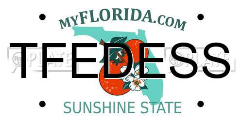 TFEDESS Florida License Plate