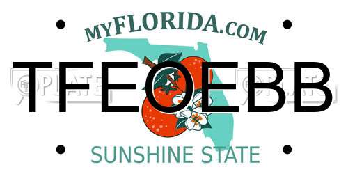 TFEOEBB Florida License Plate