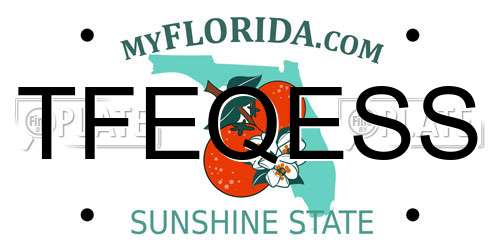 TFEQESS Florida License Plate