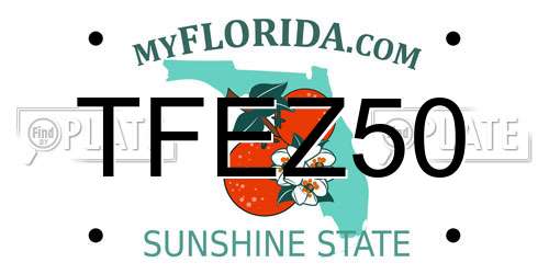 TFEZ50 Florida License Plate