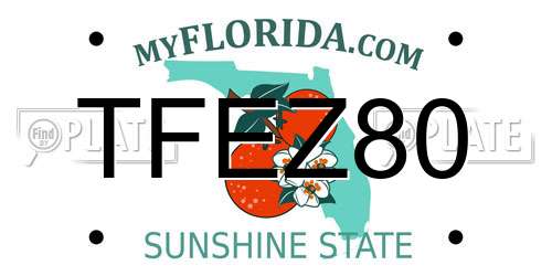 TFEZ80 Florida License Plate
