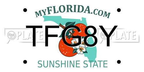 TFG8Y Florida License Plate
