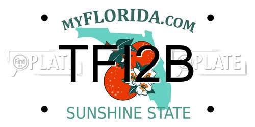 TFI2B Florida License Plate