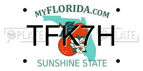 TFK7H Florida License Plate