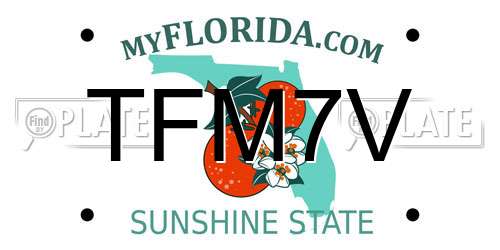 TFM7V Florida License Plate