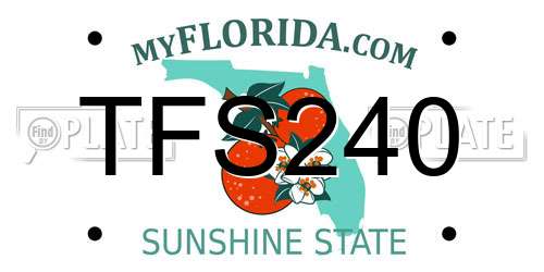 TFS240 Florida License Plate