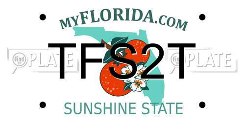 TFS2T Florida License Plate