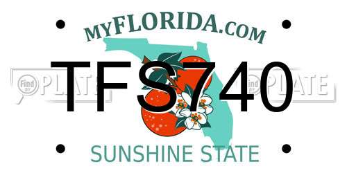 TFS740 Florida License Plate